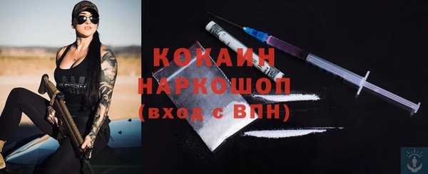 хмурый Арсеньев