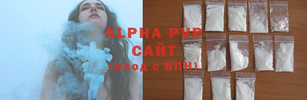 PSILOCYBIN Переславль-Залесский