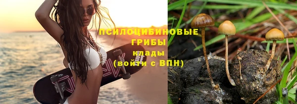 прущая мука Пестово