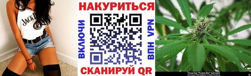 Бошки Шишки планчик  купить наркотик  mega ССЫЛКА  Струнино 
